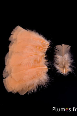 Pute - 6-8 cm - lachs